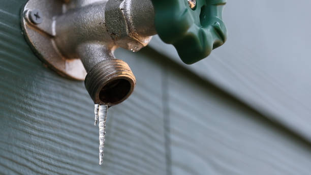 Best Water Leak Repair  in Benson, AZ
